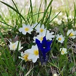 Appartamento Fewo-gschnitz 42